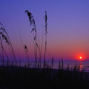 Meet your Posher, Be